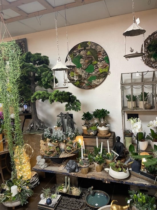 occasions (Personnalisé)